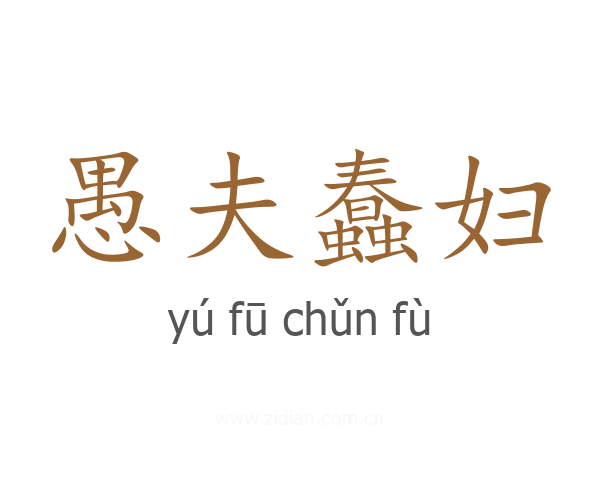 愚夫蠢妇