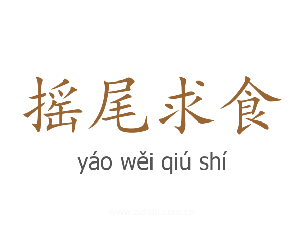 摇尾求食