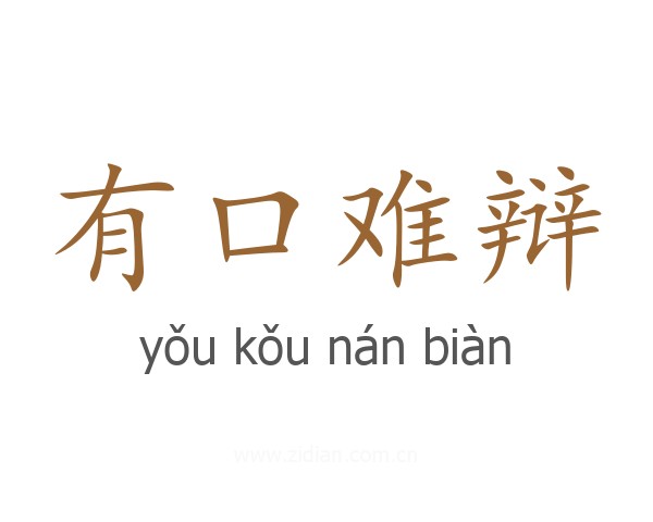 有口难辩