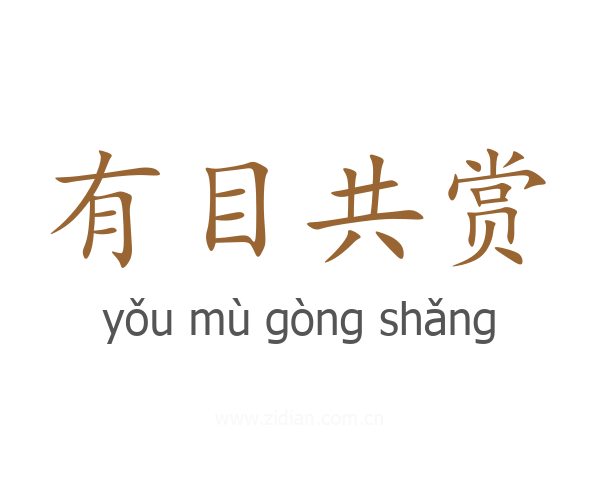 有目共赏