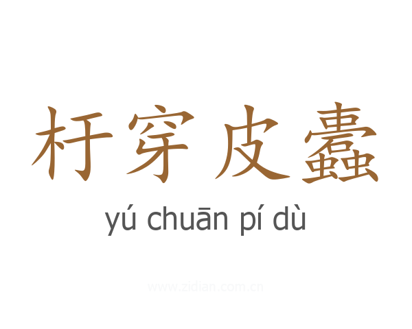 杅穿皮蠹