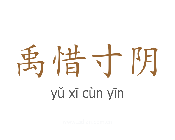 禹惜寸阴