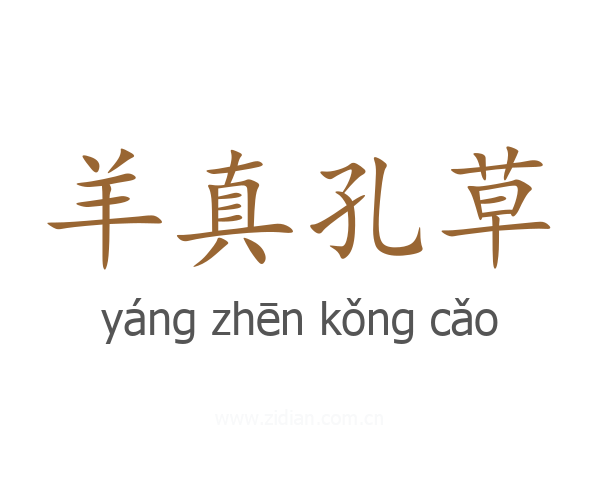 羊真孔草