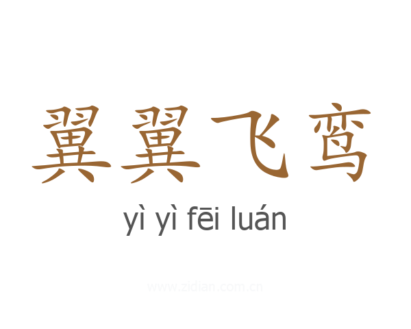 翼翼飞鸾