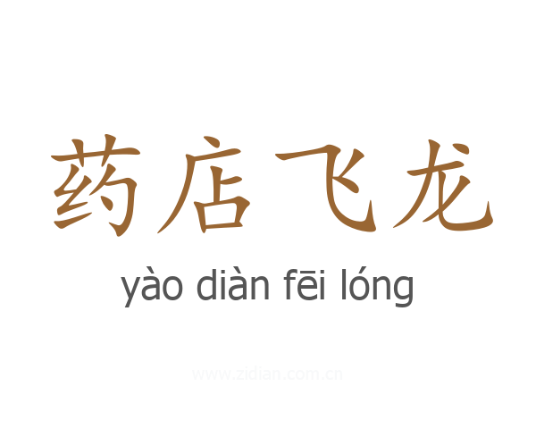 药店飞龙