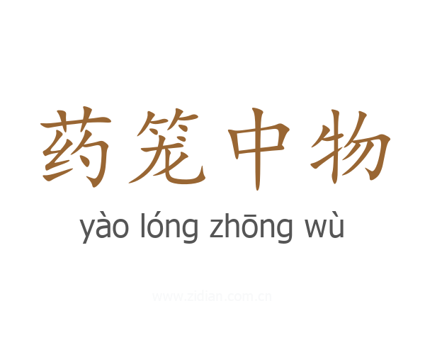 药笼中物