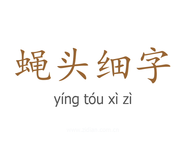 蝇头细字
