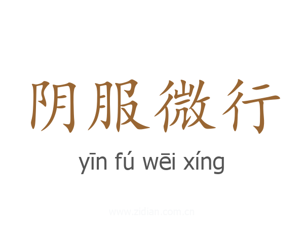阴服微行