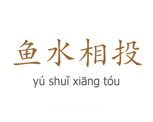 鱼水相投