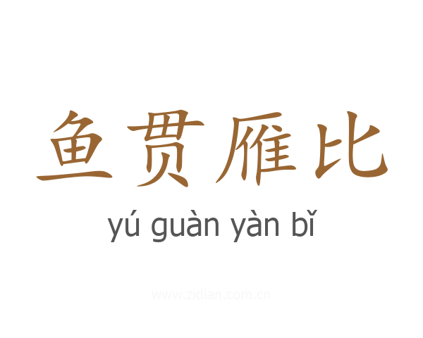 鱼贯雁比