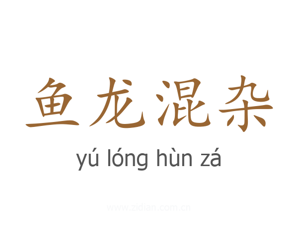 鱼龙混杂