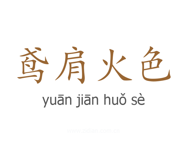 鸢肩火色