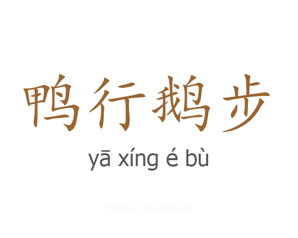 鸭行鹅步