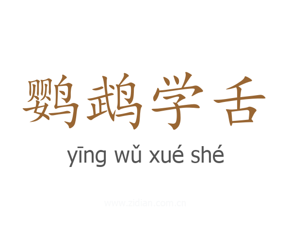 鹦鹉学舌