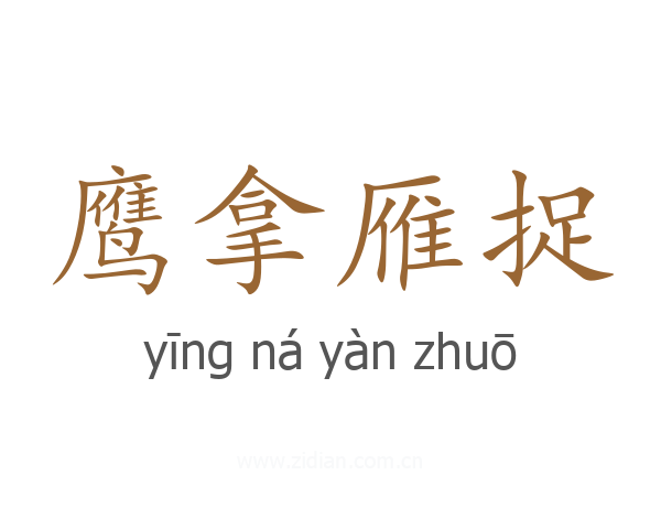 鹰拿雁捉