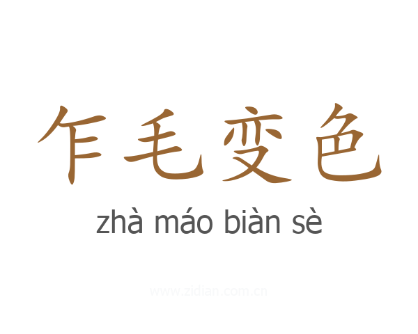乍毛变色