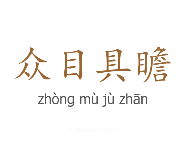 众目具瞻