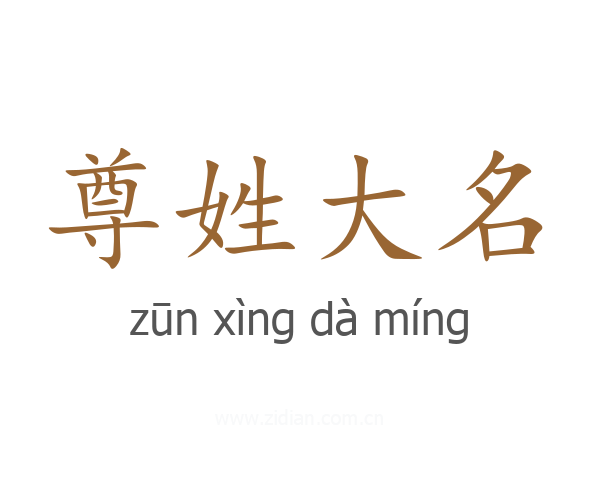 尊姓大名