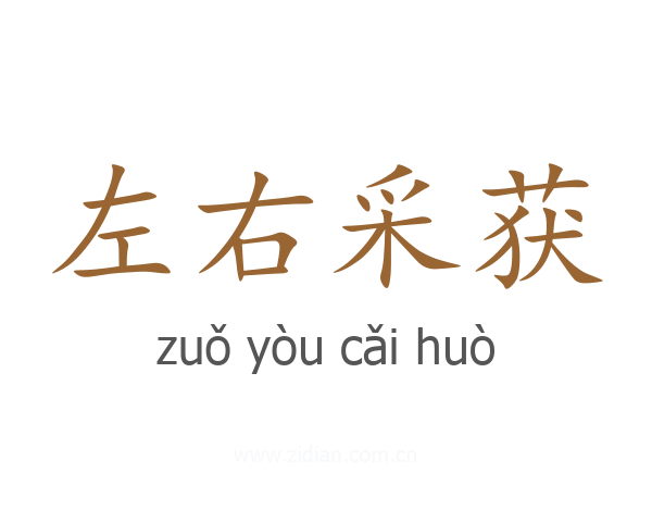 左右采获