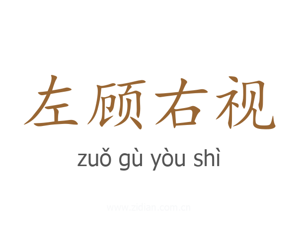 左顾右视