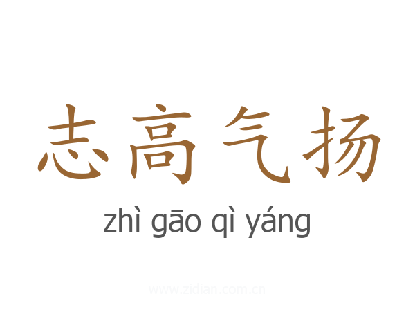 志高气扬