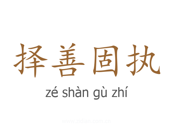 择善固执