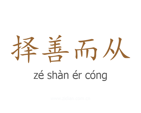 择善而从