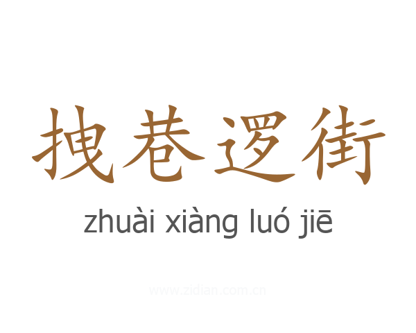 拽巷逻街