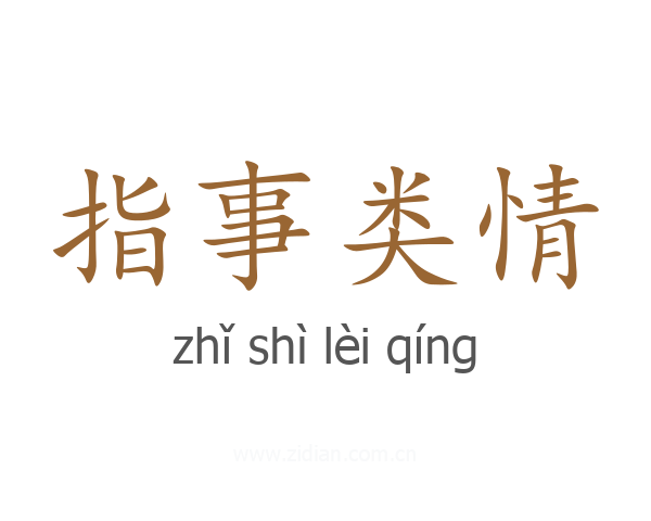 指事类情