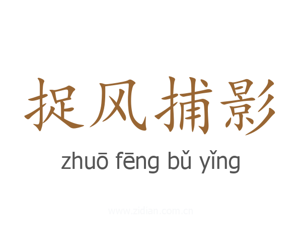 捉风捕影