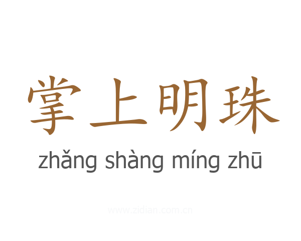 掌上明珠