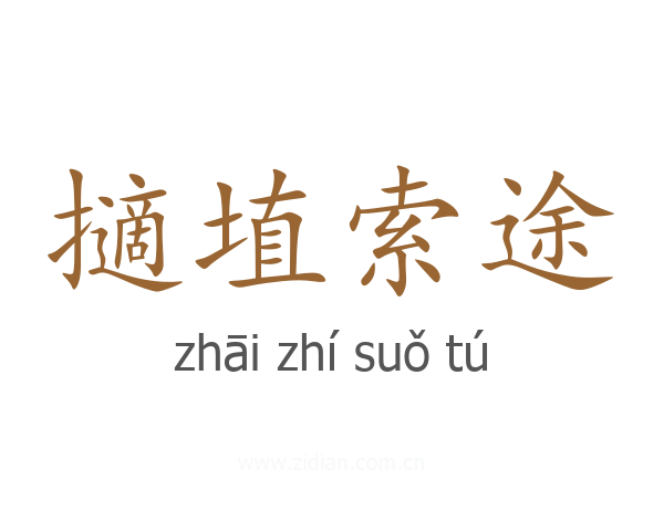 擿埴索途