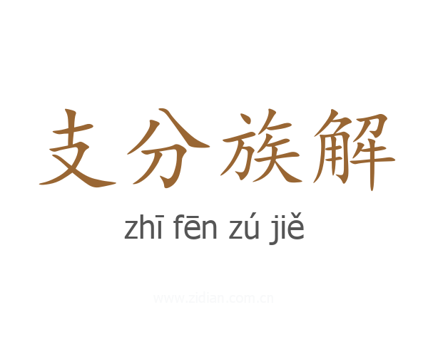 支分族解
