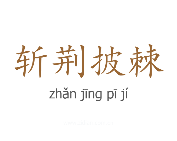斩荆披棘