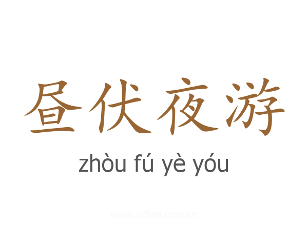 昼伏夜游