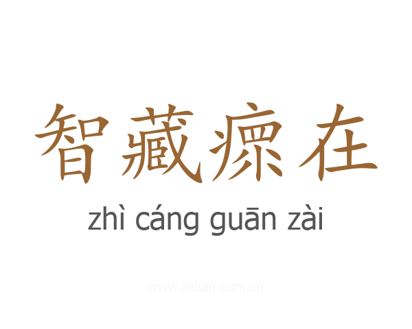智藏瘝在