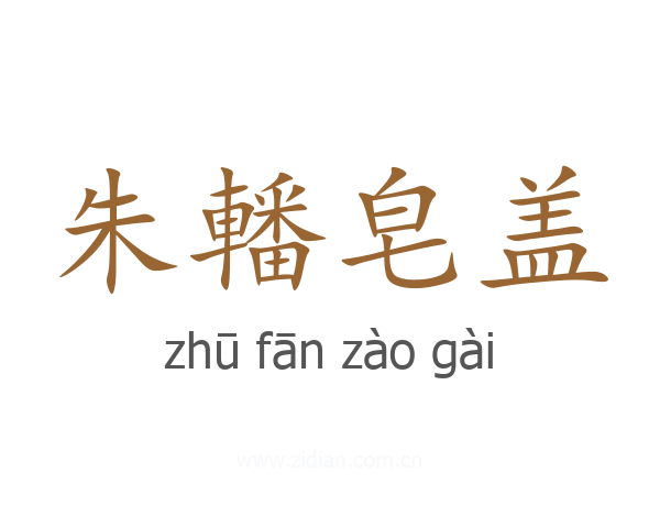 朱轓皂盖