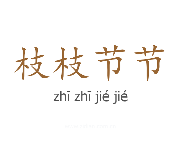 枝枝节节