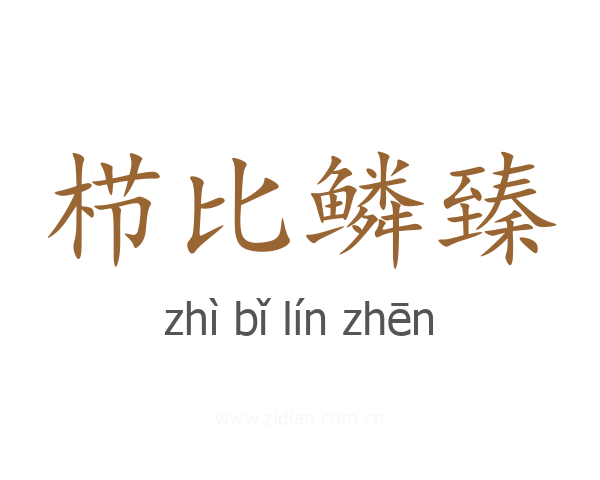 栉比鳞臻