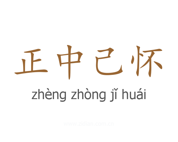正中己怀