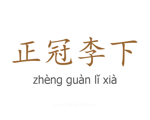 正冠李下