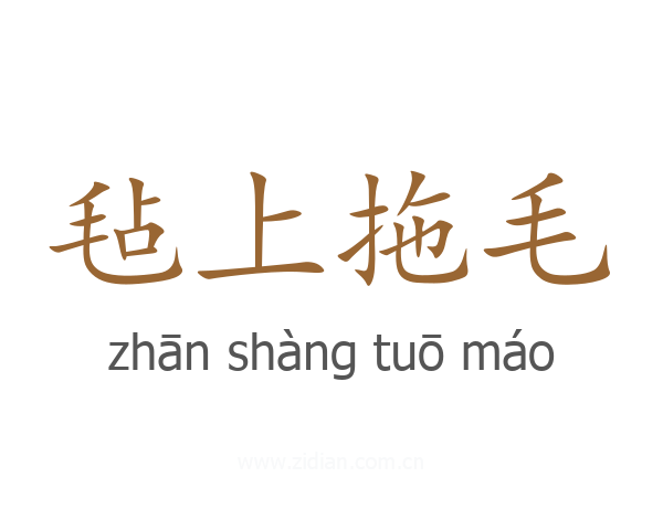 毡上拖毛