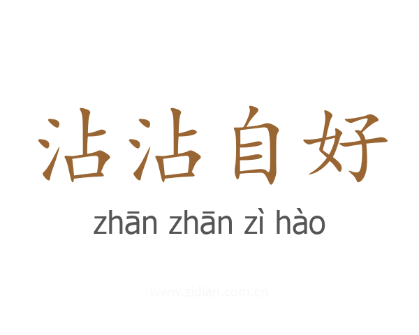 沾沾自好