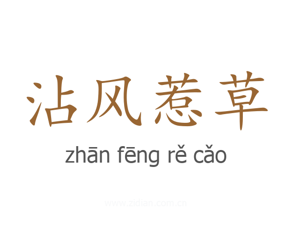 沾风惹草