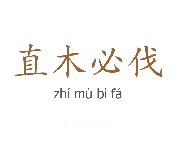 直木必伐