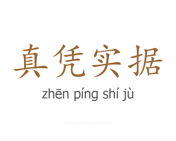 真凭实据