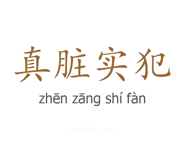 真脏实犯
