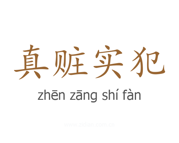 真赃实犯