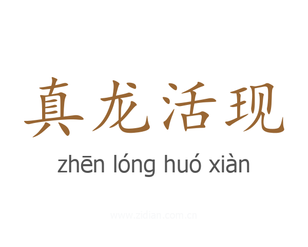 真龙活现