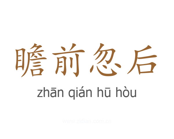 瞻前忽后
